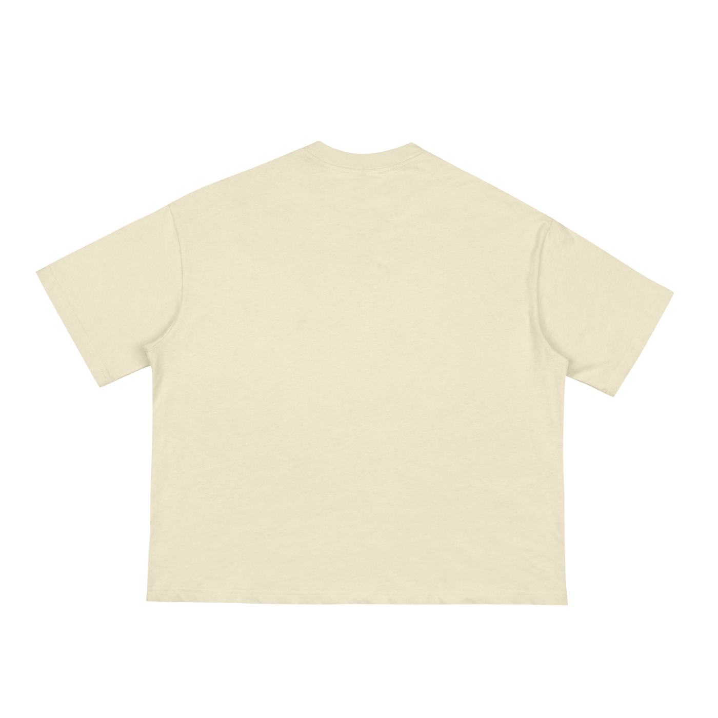 Poussé Boxy Tee