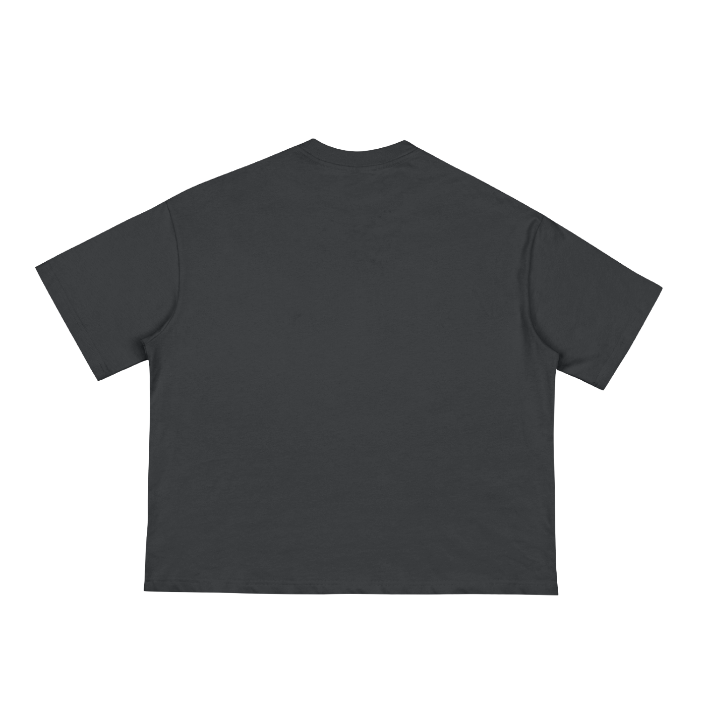 Poussé Boxy Tee
